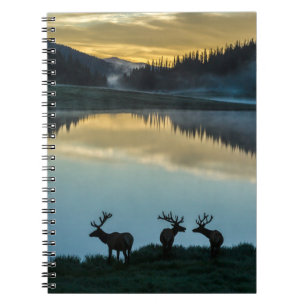 Wapiti-Hirsche vor Poudre Lake bei Sonnenaufgang Notizblock