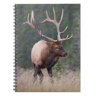 Wapiti Notizblock