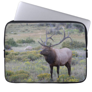 Wapiti   Rocky National Park, Colorado Laptopschutzhülle