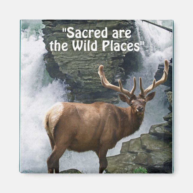 Wapiti & Waterfall Wilderness Geschenk Magnet (Vorne)