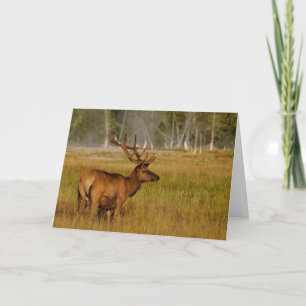 Wapiti   Yellowstone National Park Karte