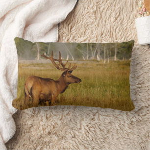 Wapiti   Yellowstone National Park Lendenkissen