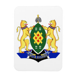 Wappen-Coat von Johannesburg Magnet
