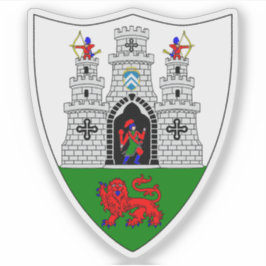 Wappen der Stadt Kilkenny Aufkleber