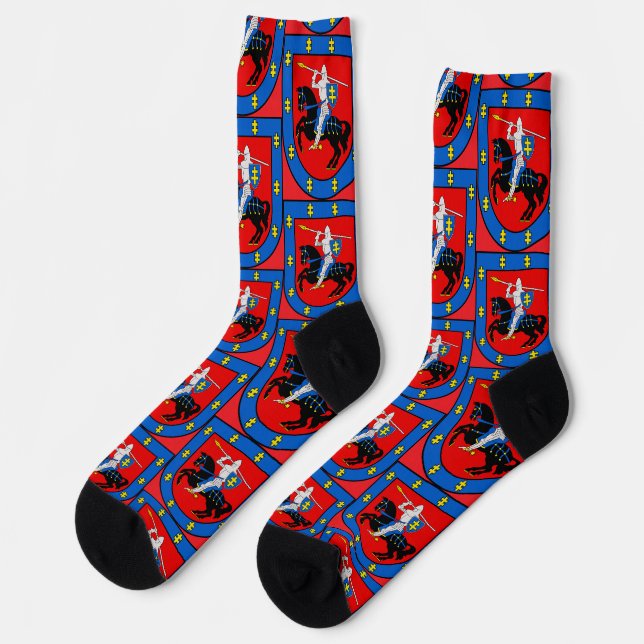 Wappen des Bezirks Vilnius Socken (Linkes Detail)