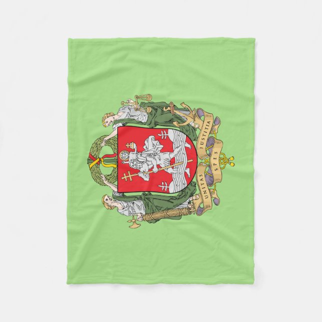 Wappen von Vilnius, Litauen, Fleece Blanket (Vorderseite)