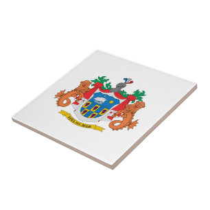 Wappen von Viña del Mar, Chile Fliese