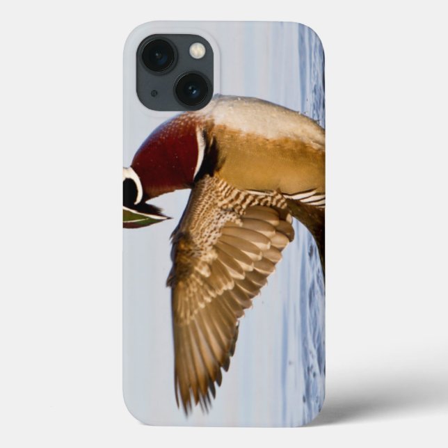 Wappschwingen aus Holzente in Feuchtgebieten Case-Mate iPhone Hülle (Rückseite)
