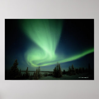 Wapusk-Nationalpark Poster