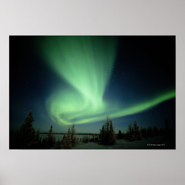 Wapusk-Nationalpark Poster (Vorne)