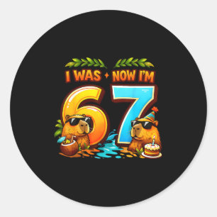 War 6 7 Geburtstag 67 Meme Capybara Kinder Jungen Runder Aufkleber
