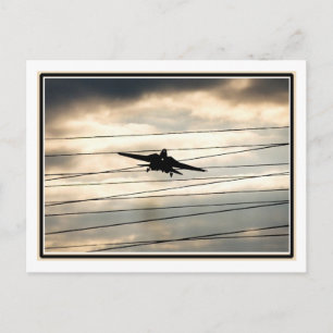 War Bird Postkarte