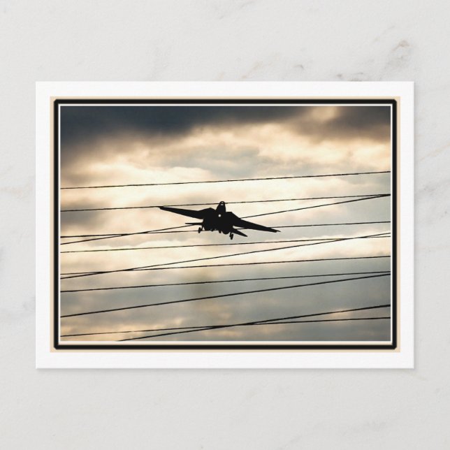 War Bird Postkarte (Vorderseite)