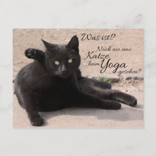 War es das? Noch nie eine Katze beim Yoga? Postkarte