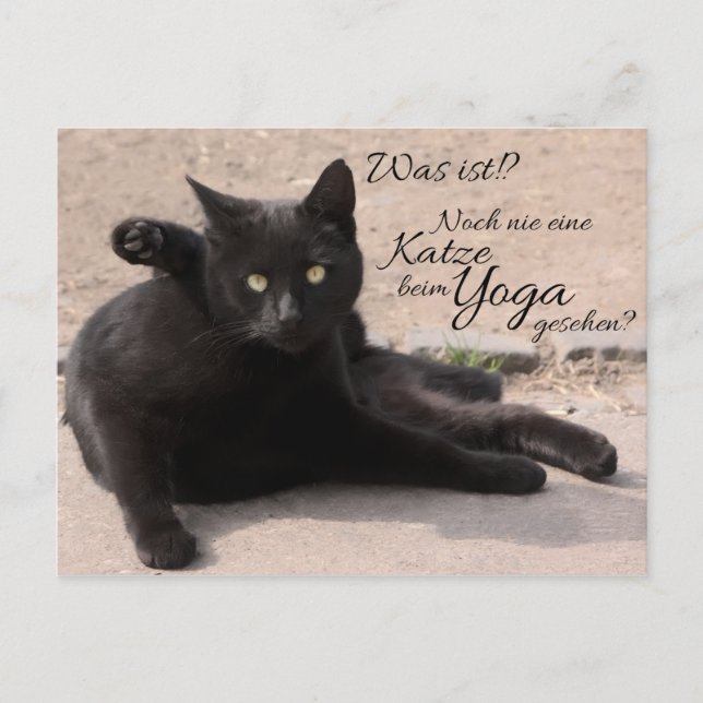 War es das? Noch nie eine Katze beim Yoga? Postkarte (Vorderseite)