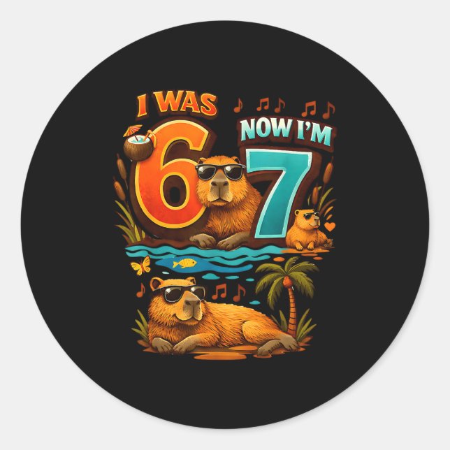 War sechs sieben 6 7 Capybara 67 Meme 7. Geburtsta Runder Aufkleber (Vorderseite)