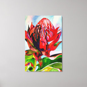 Waratah Australian native flower watercolor Leinwanddruck