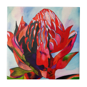 Waratah Australische Blume Aquarell Fliese