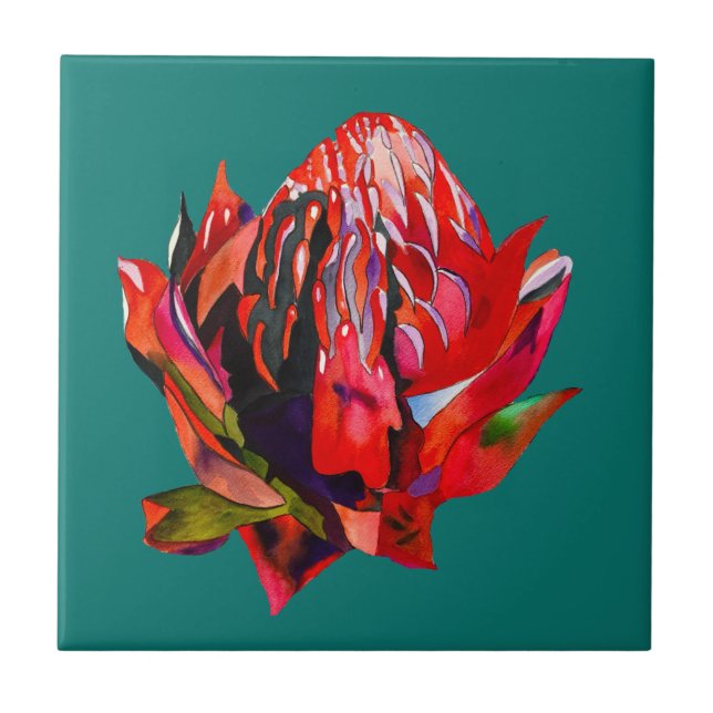 Waratah Australische Blume Aquarell Fliese (Vorderseite)