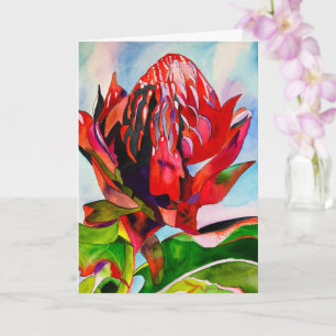 Waratah Australische Blume Aquarell Karte
