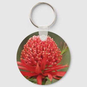 Waratah in der Blüte, Australien-Blumen Schlüsselanhänger