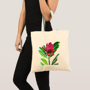 Waratah Protea, Pflanzenmamma, botanisch Tragetasche