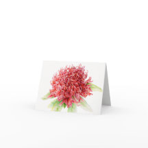 Waratah rote botanische Aquarell-Kunstmit