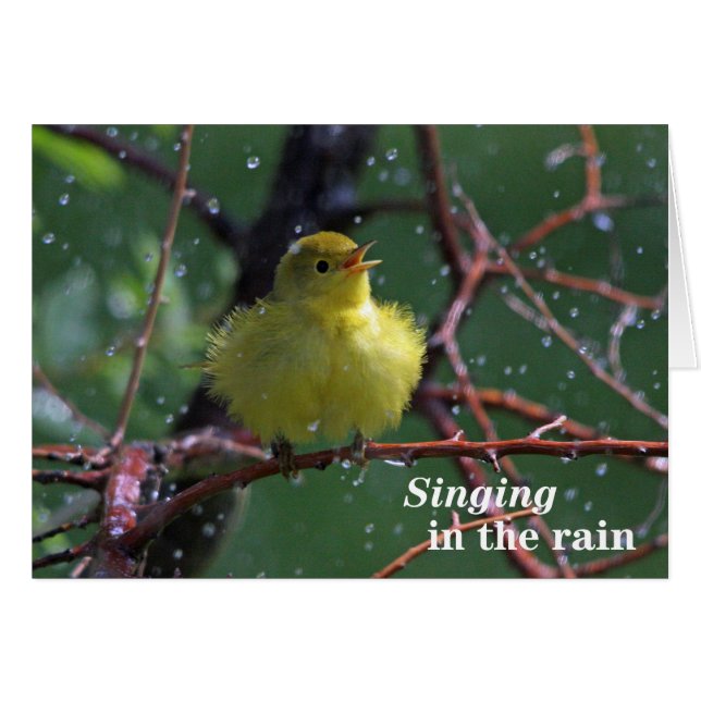 Warbler (Vorderseite (Horizontal))