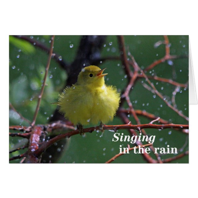 Warbler (Vorderseite (Horizontal))