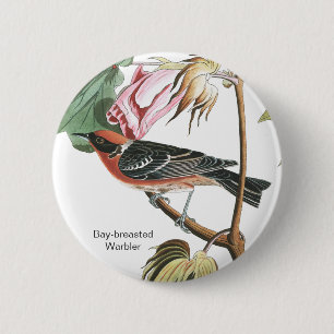 Warbler, Audubon, Wood Warbler, Bird Button