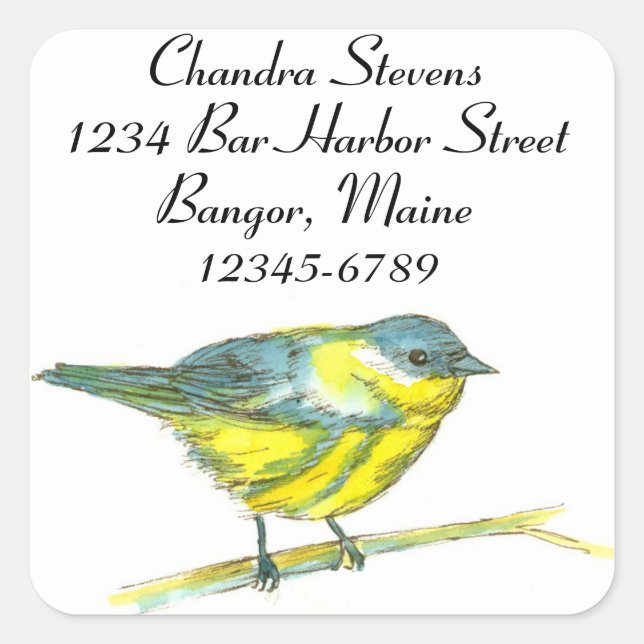 Warbler Bird Wasserfarbe Rücksendeadresse Quadratischer Aufkleber (Vorderseite)