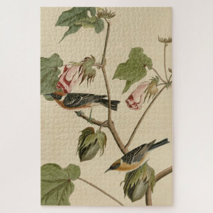 Warbler-Brüste - Audubons Vögel in Amerika Puzzle
