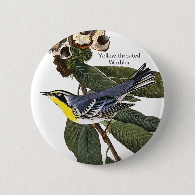 Warbler, John James Audubon, Bird Button (Vorderseite)