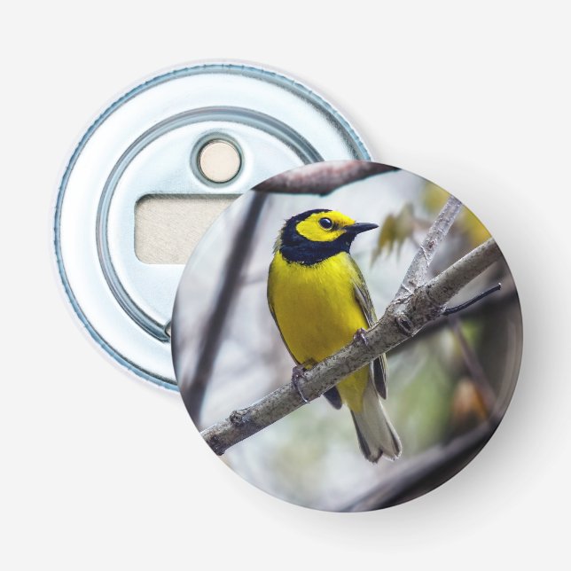 Warbler-Magnet-Flaschenöffner Flaschenöffner (Vorderseite)
