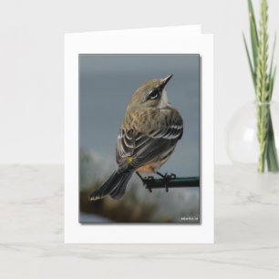 Warbler Note Card Karte