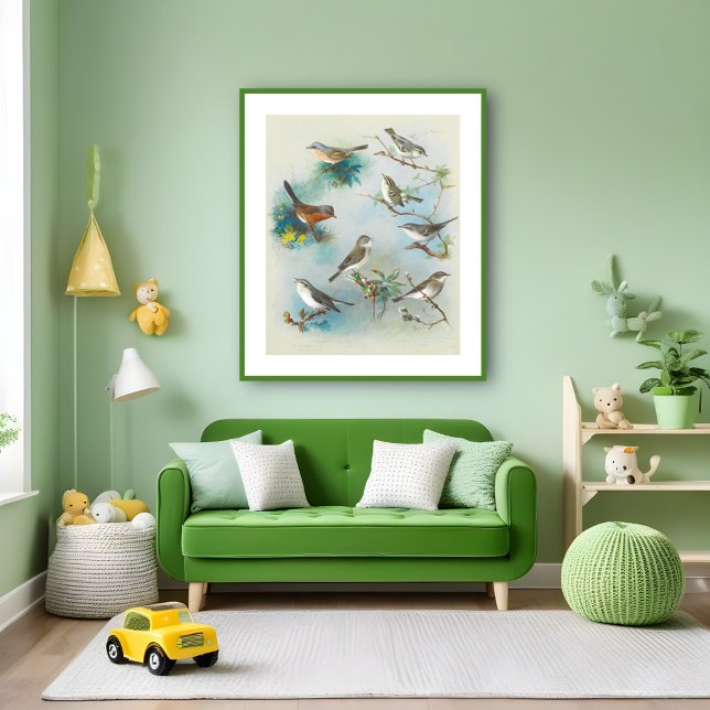 Warbler und Wrens Poster (Von Creator hochgeladen)