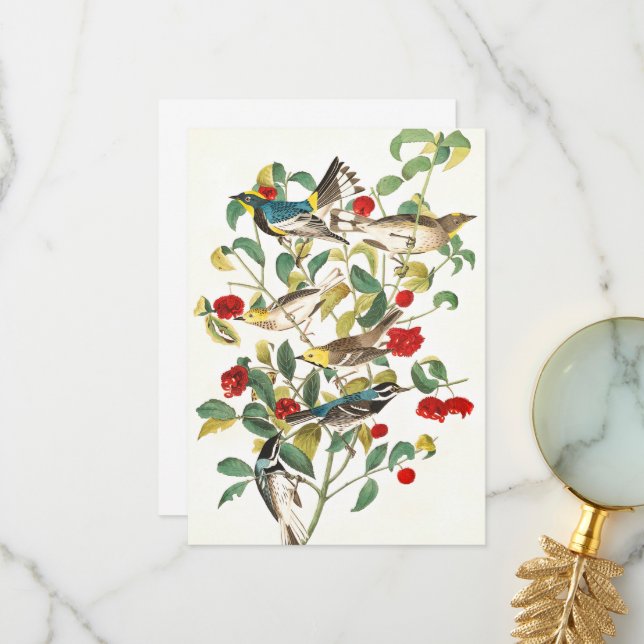 Warbler von John James Audubon Dankeskarte (Vorderseite/Rückseite Beispiel)