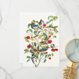 Warbler von John James Audubon Dankeskarte