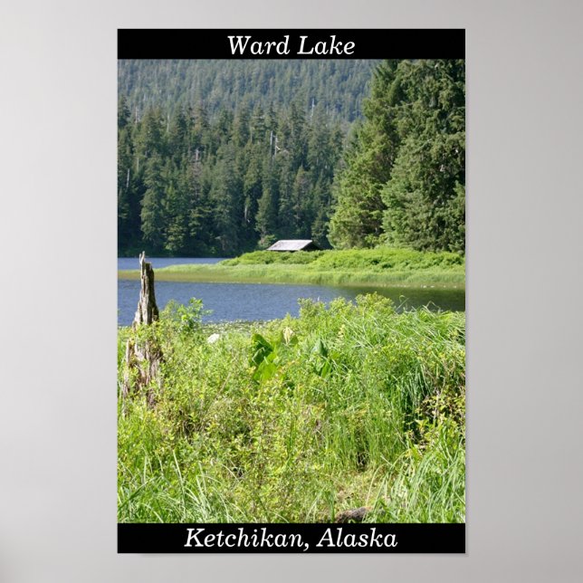 Ward Lake in Ketchikan, Alaska Poster (Vorne)
