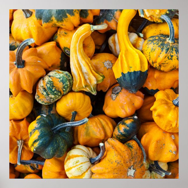 Waren Poster (Vorne)