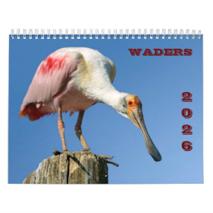 Warenkalender 2025 kalender