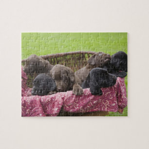 Warenkorb für Hundewelpen Puzzle