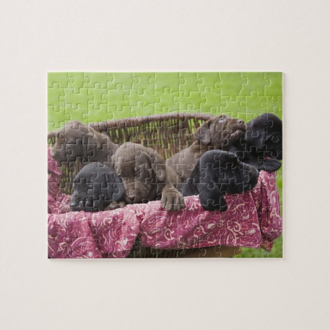Warenkorb für Hundewelpen Puzzle (Horizontal)