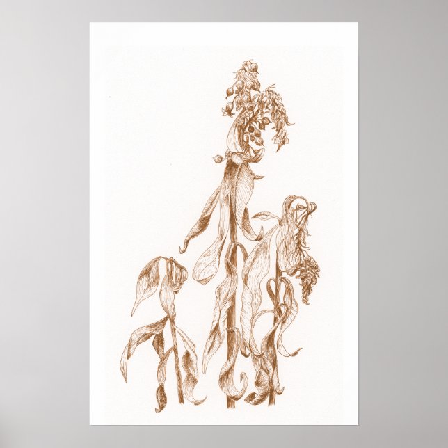 Warm Seasonal Botanical Ink Art Elegant Wall  Poster (Vorne)