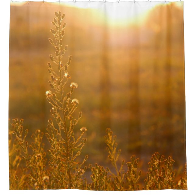 WARM SHOT OF MEADOW GRASS DUSCHVORHANG (Vorderseite)
