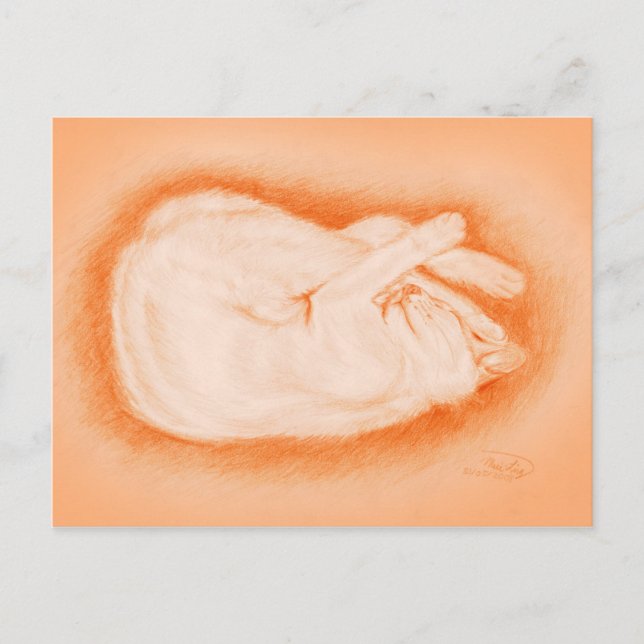 Warm wie ein Feuerwerk Postkarte (Vorderseite)