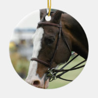 Warmblood PferdeFoto-Verzierung