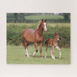 Warmblut Mare and Foal Walking Together Puzzle