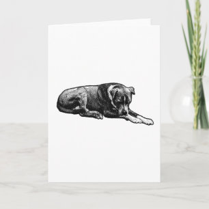 Warme Gaze Hundekarte Karte