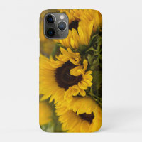 Warme goldene Sonnenblume Custom